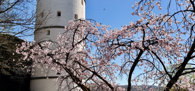 Nicht nur vor unserer Tür – auch im Laden hält der Frühling Einzug. &nbsp;